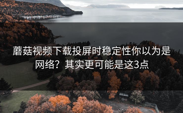 蘑菇视频下载投屏时稳定性你以为是网络？其实更可能是这3点